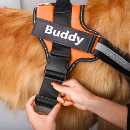 Dog Harness with Personalized Name (Free Today)