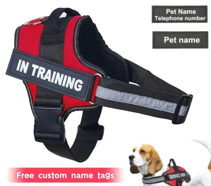 Dog Harness with Personalized Name (Free Today)