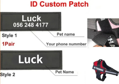 Dog Harness with Personalized Name (Free Today)