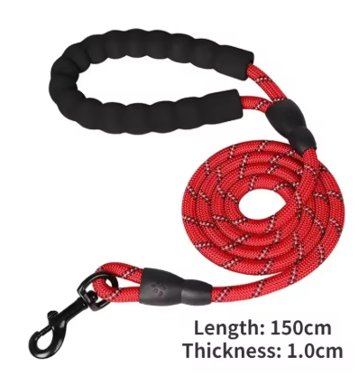 Leash (No extra Shipping charges)